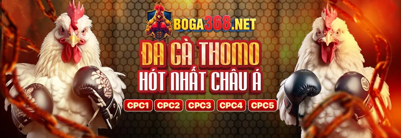 Hình ảnh giới thiệu Thabet Win, nền tảng cá cược trực tuyến hàng đầu Việt Nam